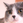 takeken1_