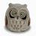 Caw23570
