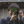 takehirokj