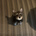 かよこ