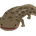 michi