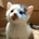 ぴゅぴゅ丸