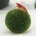 reevesspirea21