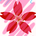 sakura84