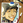 Chikaishi.H