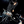 uki_hashimoto