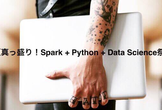 夏真っ盛り！Spark + Python + Data Science祭り