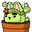 cactusman