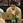 investor_k3