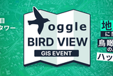 toggle BirdView #1