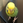MasayukiMiyama