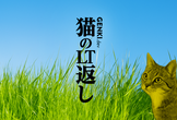 【なんでもLT&交流会】猫のLT返し ~風になる~ @大阪