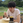 K.Nishiuchi