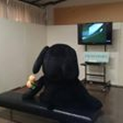 9687gi