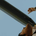 rou_right