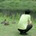 harunorifujii