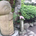 koyama2010