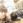 YushiKida