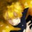 shachihoko_w