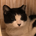 IkuN