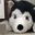 tim