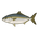 BURI