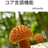 【大阪開催】「C++23 コア言語機能」読書会vol.1