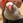 ar