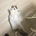まにまに