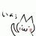 shirokaba