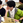 aonori