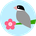 すぎ