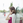 saorin26