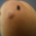 T.N.