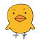 Taiki_Yoshida