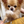 DaisukeOnoe