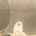 yamamoto_s