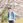 KOGA_TOMOHIRO