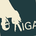 aiga1101