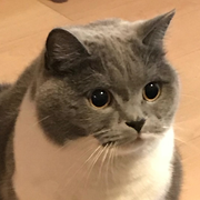 ai_nakagawa