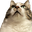 わみ