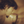 yousuke