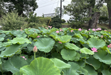関連のモデリング