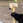 Mede