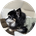 ezqy