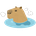 kappy
