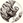 onc-limb