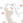 miyukichi_ospf