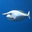 Bluetang14