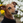 koheiDNconsulting